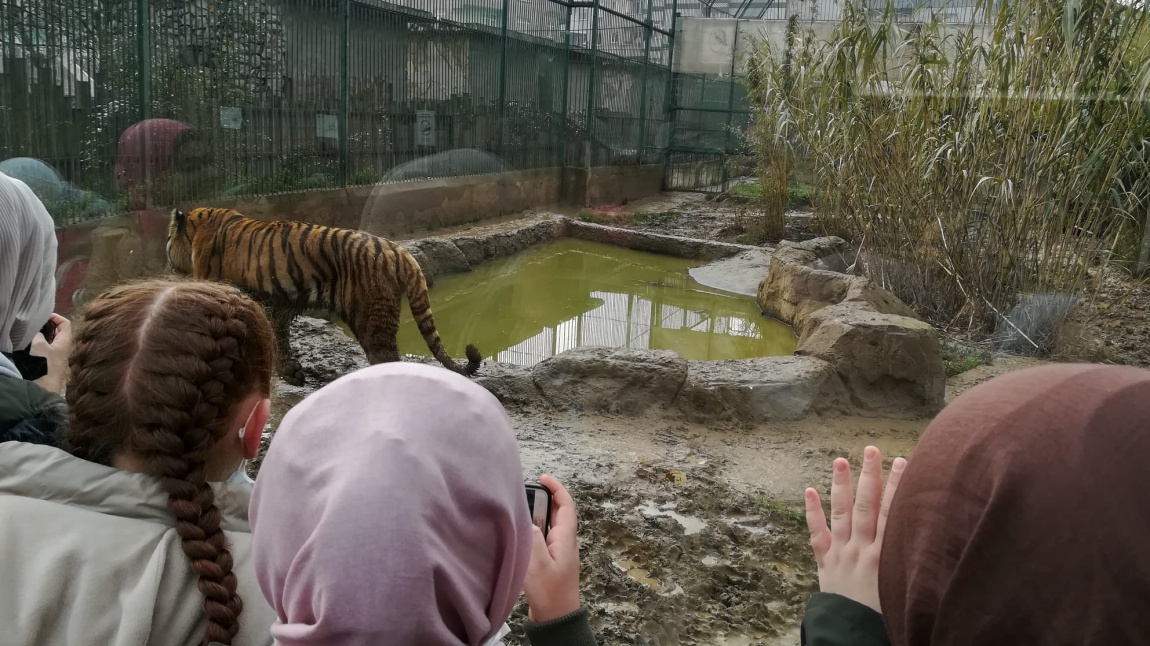 Öğrencilerimiz ile Darıca Hayvanat bahçesine gittik.